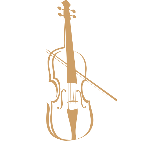 strad-shop-violin-icon